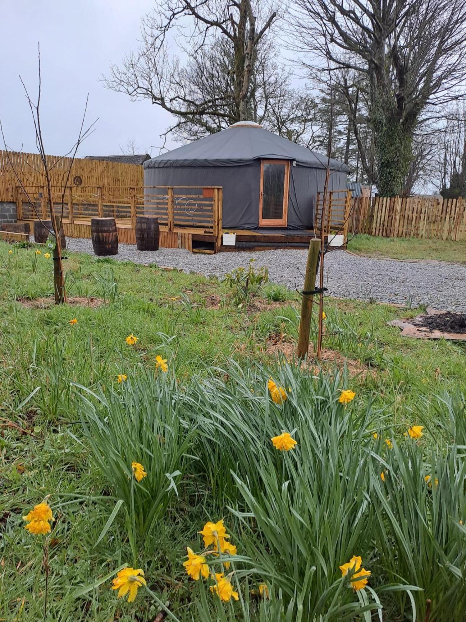 Hotel The Snowdrop Galway Exterior foto